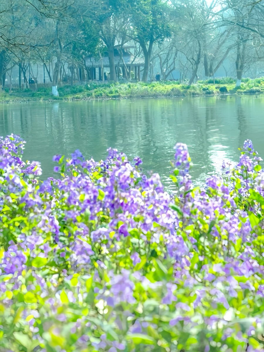 hangzhoufeel's tweet image. Spring is meant to be felt—running fingers across rough bark, breathing in rain-soaked earth, tracing moss along hidden paths: spring in Hangzhou is a vivid green that feels almost like visible hope. 🍃🌧🌱🚣

#Springvibes #BeautifulHangzhou #HiddenGems #VisitHangzhou