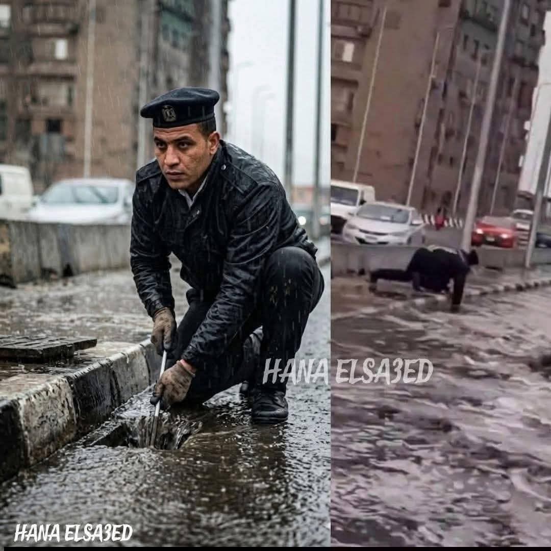 NONA AL_SiSi 𓈖𓅃𓂧𓇌𓅃 ⲛⲁⲇⲓⲁ tweet media