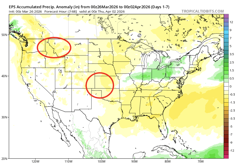 Andrey Sizov tweet media