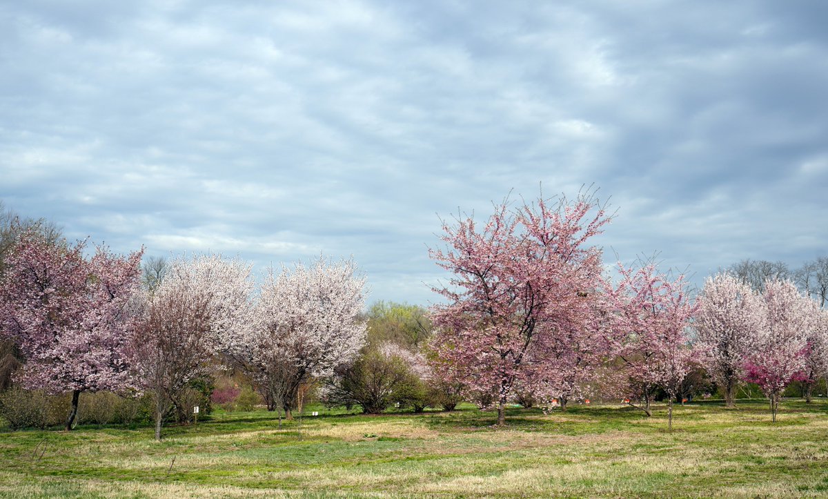 Agricultural Research Service tweet media
