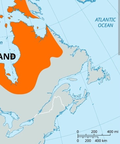 Andrew Caddell tweet media