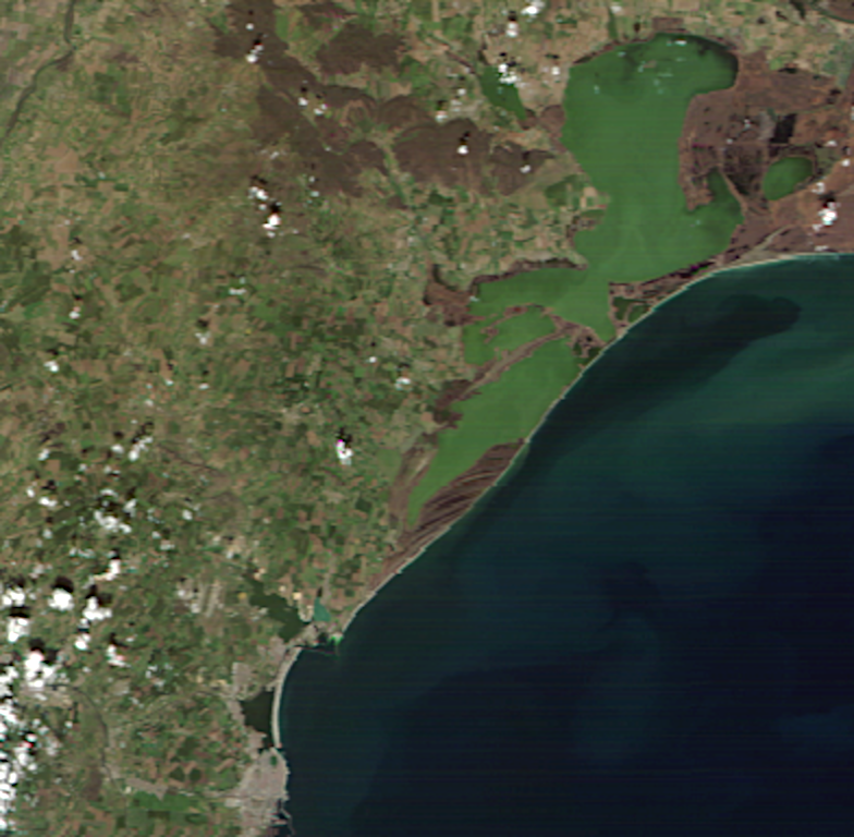 Fred Jansen tweet media