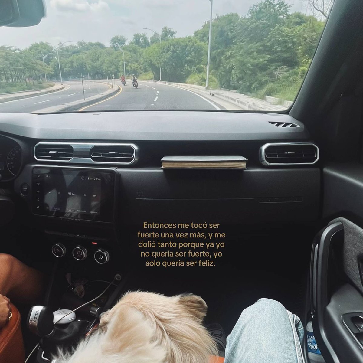 sad (@isadtuit) on Twitter photo 