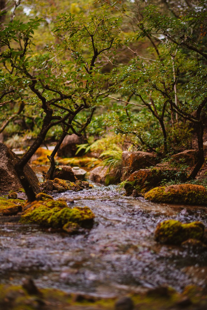 Evening Sword tweet media