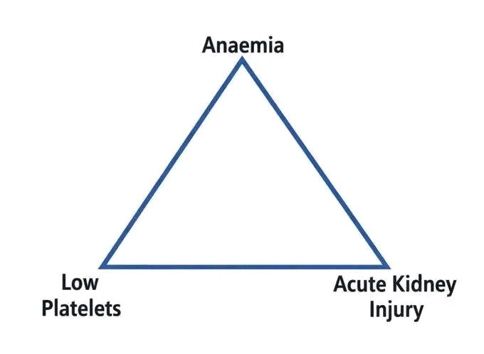 ChShafiullah15's tweet photo. The TRIAD is called  ? https://t.co/BcE5vjzgzH