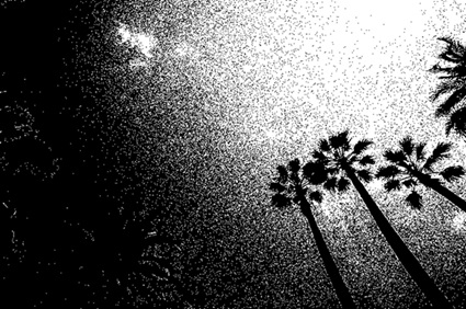 douglas cole tweet media