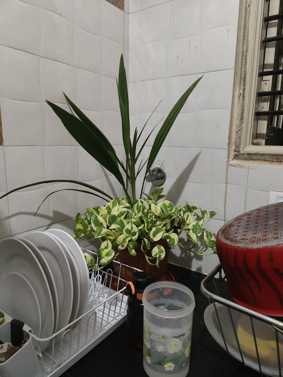 Iwin Dmello tweet media