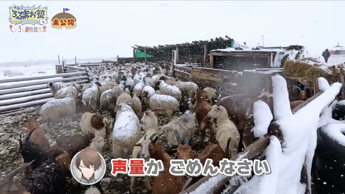 とりのえさ tweet media