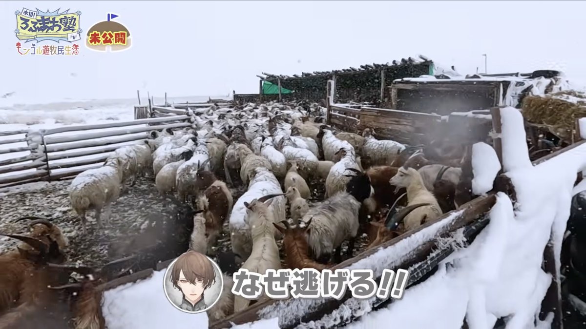 とりのえさ tweet media