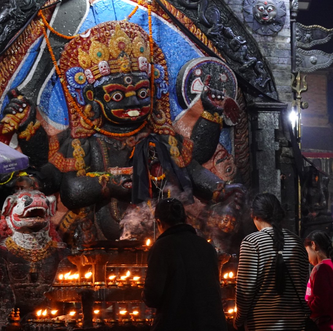 tuozhazi tweet media