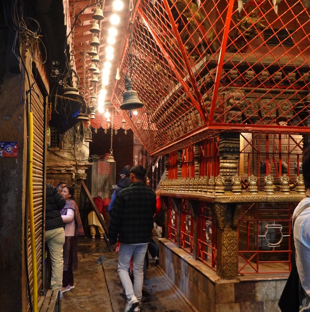 tuozhazi tweet media