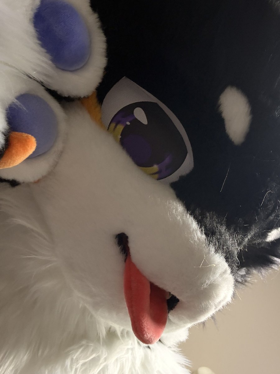 미얔이 tweet media