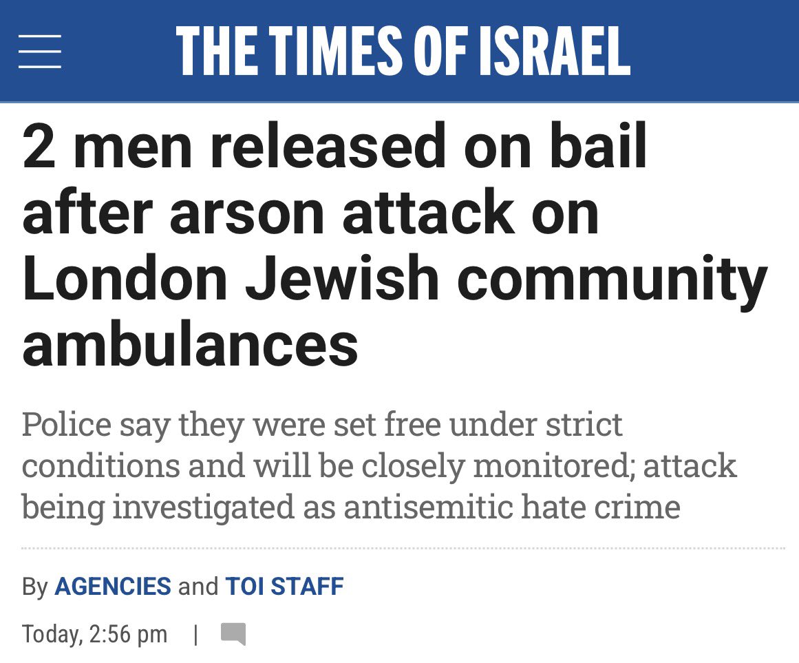 Wolf 🐺 tweet media