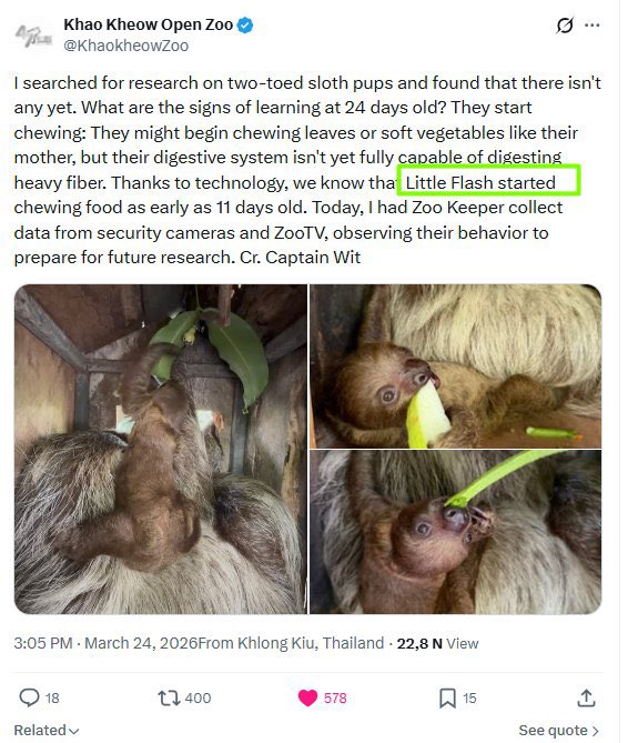 Thecorn33 🐶🛹🕶️ ( Kori Koded ) tweet media