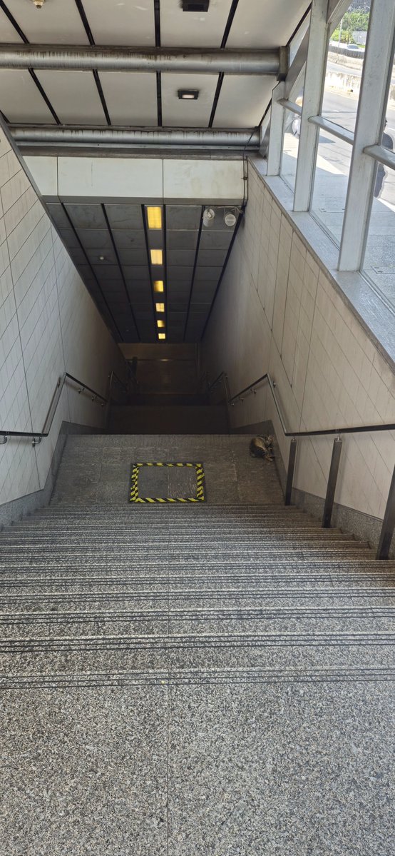 ✌(ᯫ᳐ ᑊ⩊ᑊ ᯫ᳐) 🌌🧩✨ tweet media