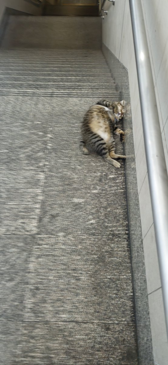 ✌(ᯫ᳐ ᑊ⩊ᑊ ᯫ᳐) 🌌🧩✨ tweet media