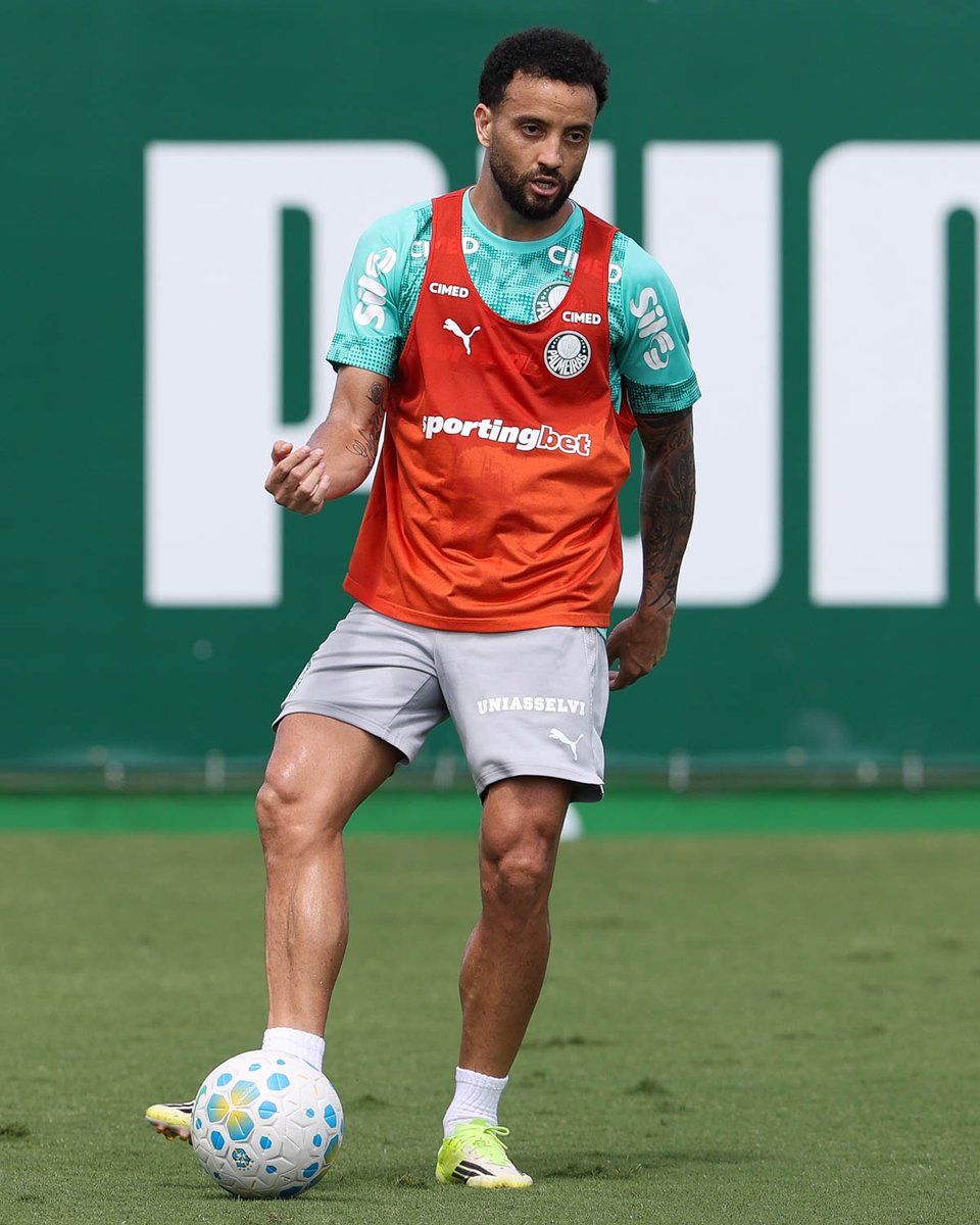 SE Palmeiras tweet media