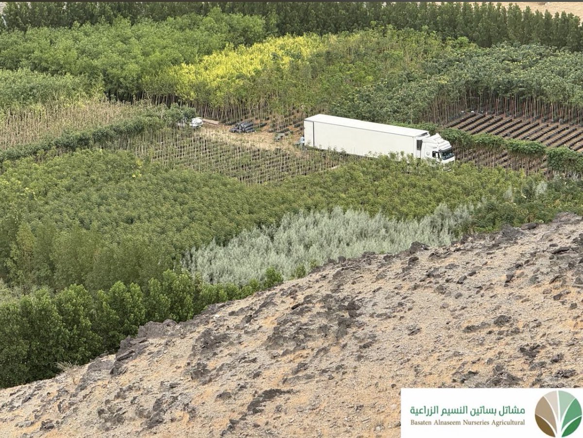 شتلات بريّة tweet media