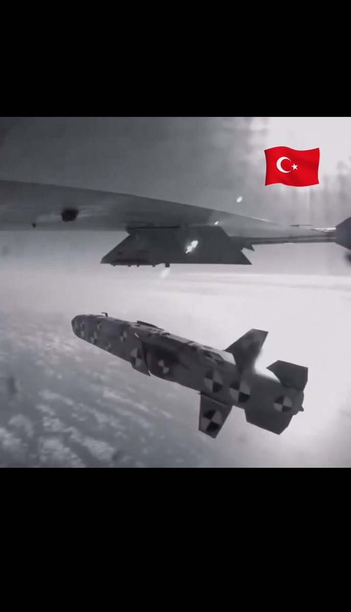 Sharon Eğritepe tweet media