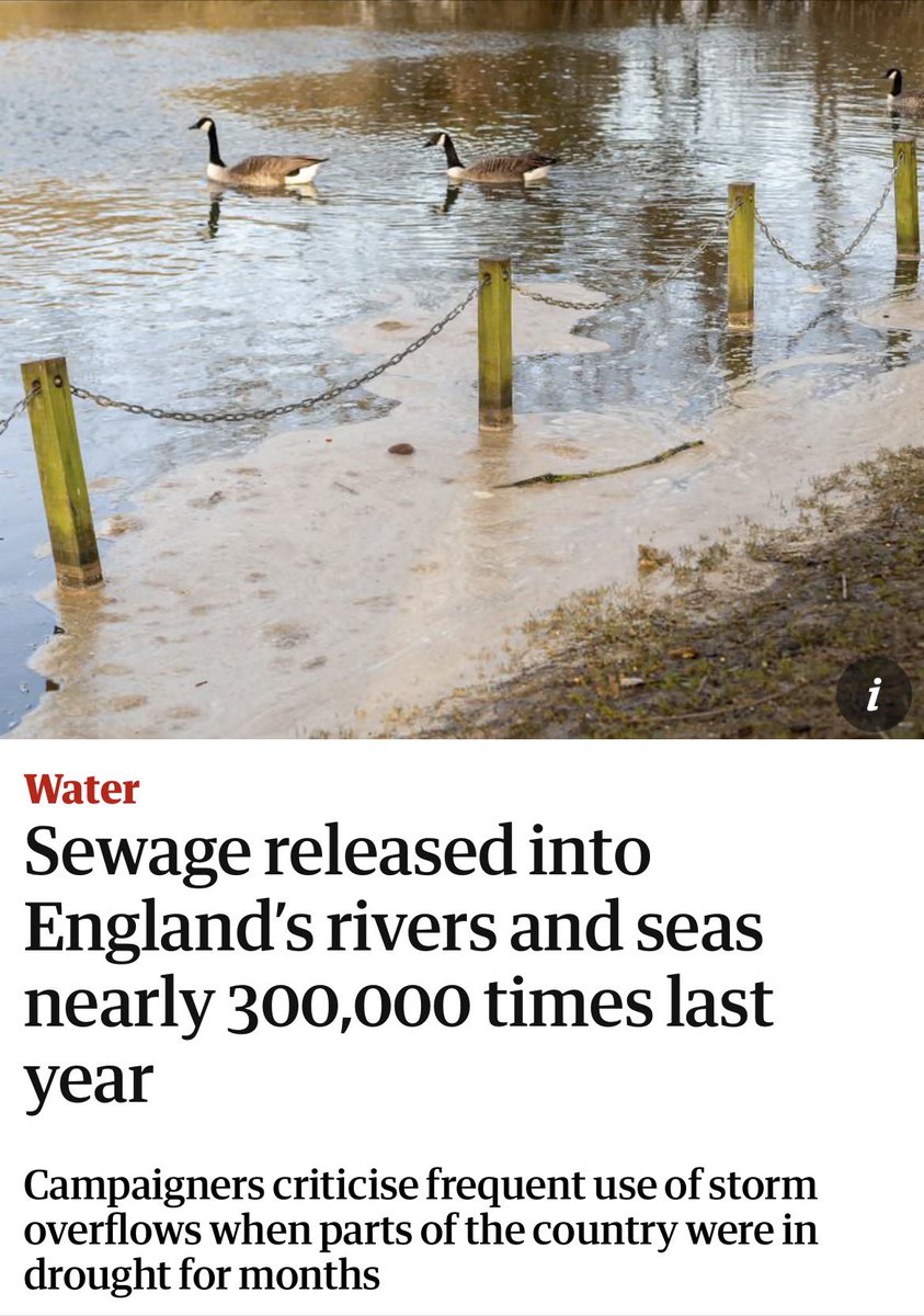 Paul Powlesland tweet media