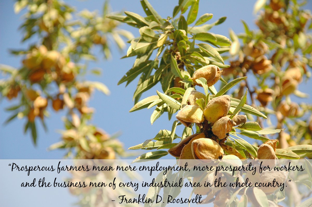 Sierra Valley Almonds tweet media