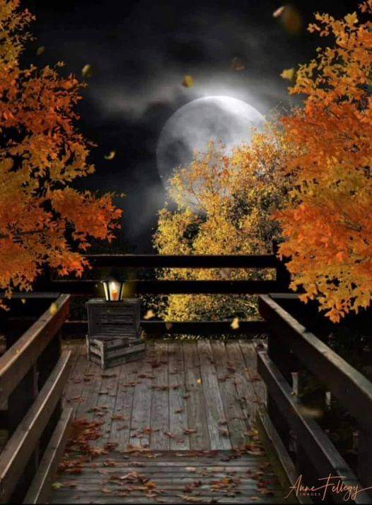 💙💫🤍💫Tina💙💫🤍💫 tweet media