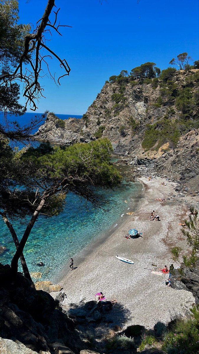 Image de Préfet de la région Provence-Alpes-Côte d'Azur : #JeudiPhoto📸| Plage du Mont-Salva, Six-Fours-les-Plages📍

🌊Située sur le littoral varois, la #pla