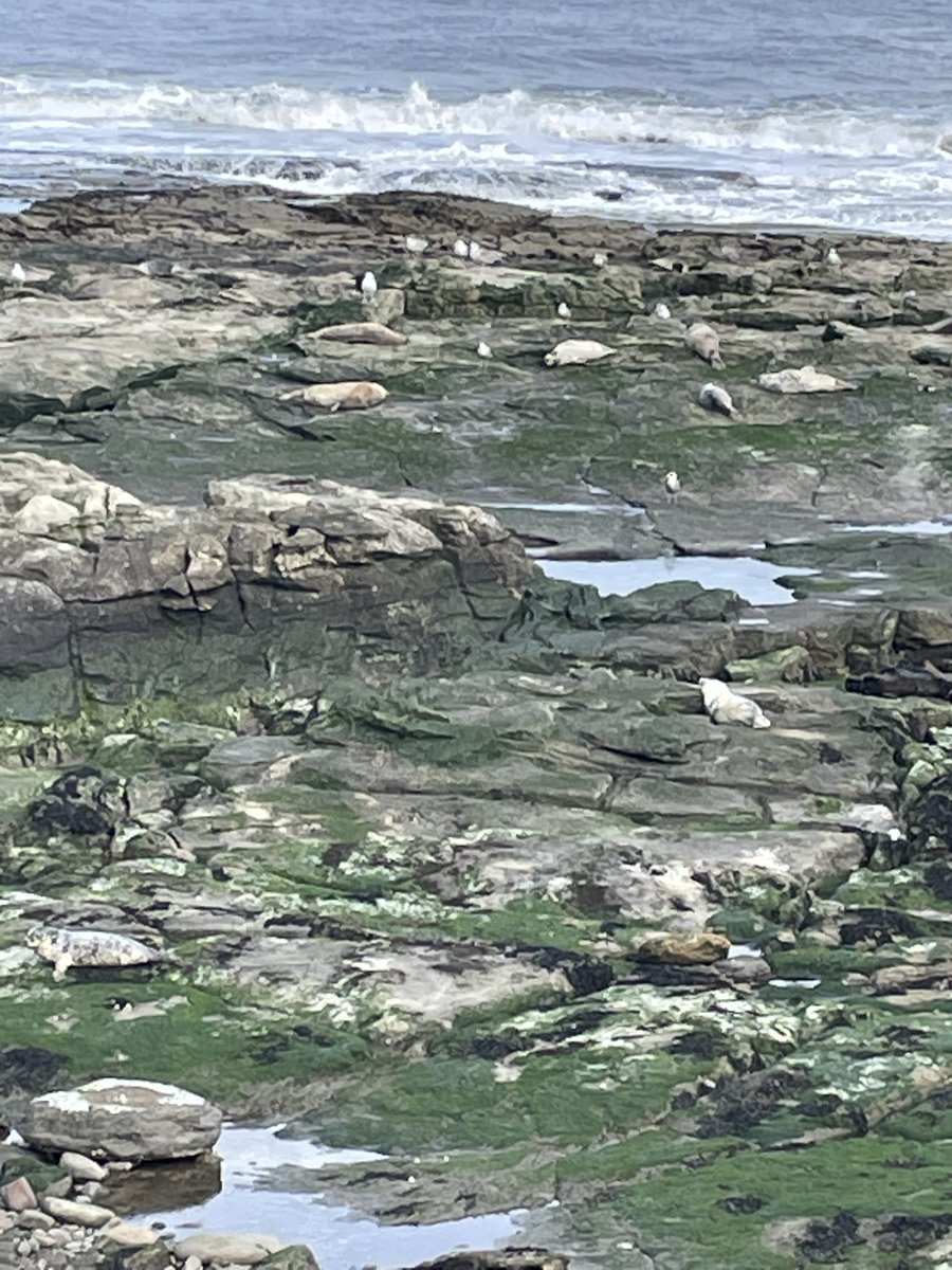 What Pippa Did Next tweet media