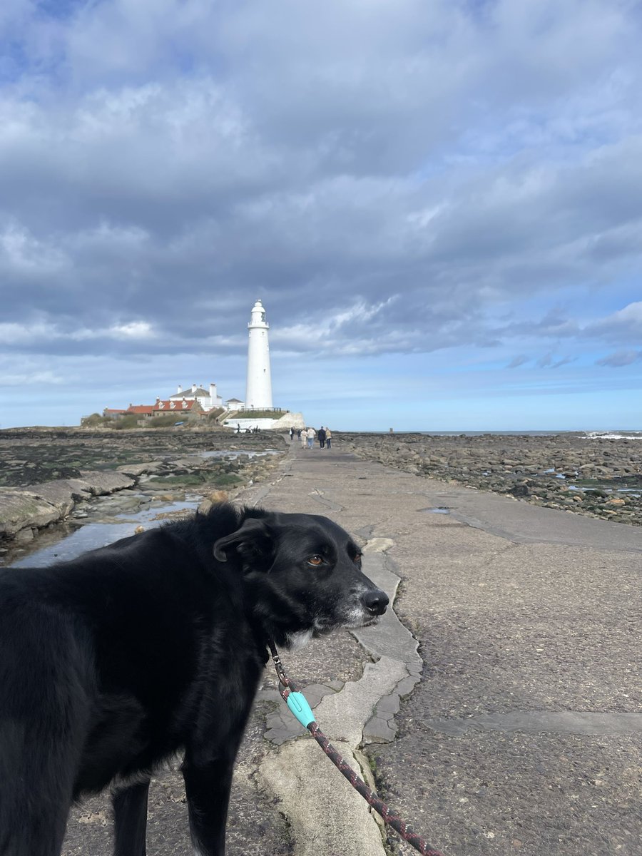 What Pippa Did Next tweet media