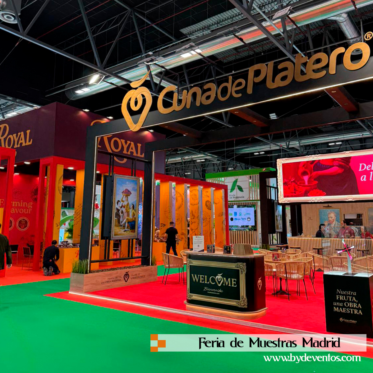 b&d eventos tweet media