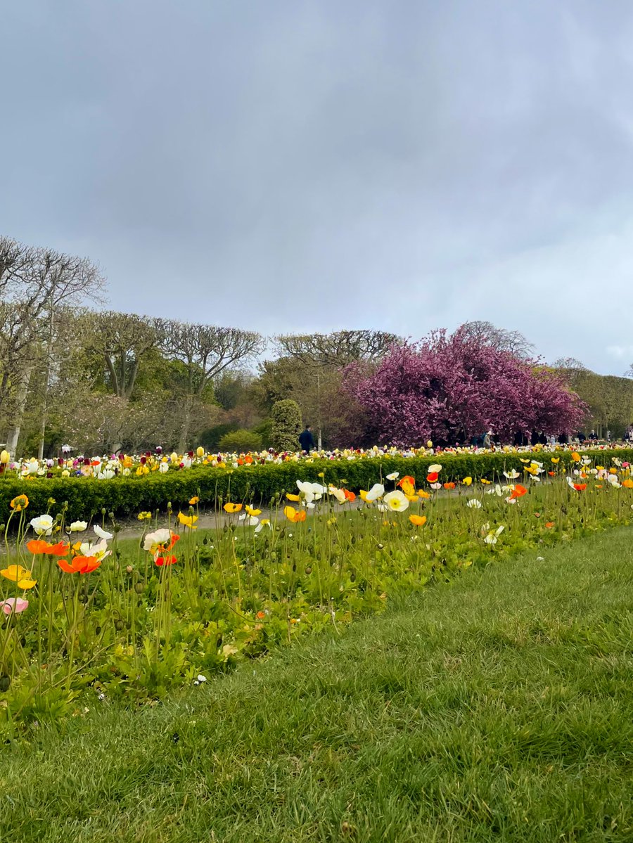 tea bag. 👻🐝 tweet media