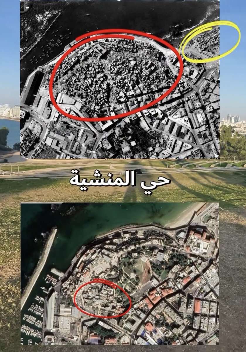 محمد tweet media