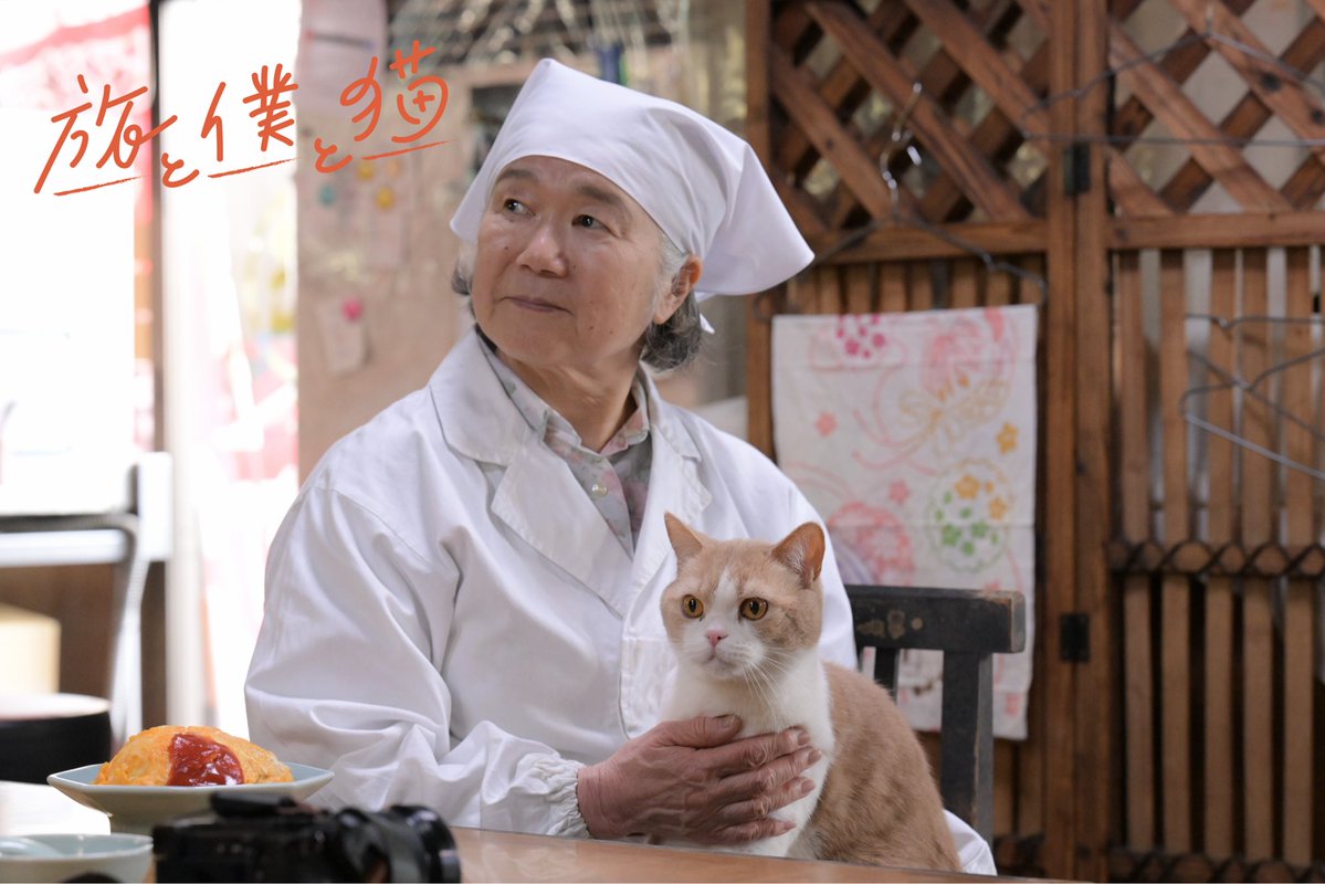 ドラマ『旅と僕と猫』【テレ東公式】🐈 tweet media