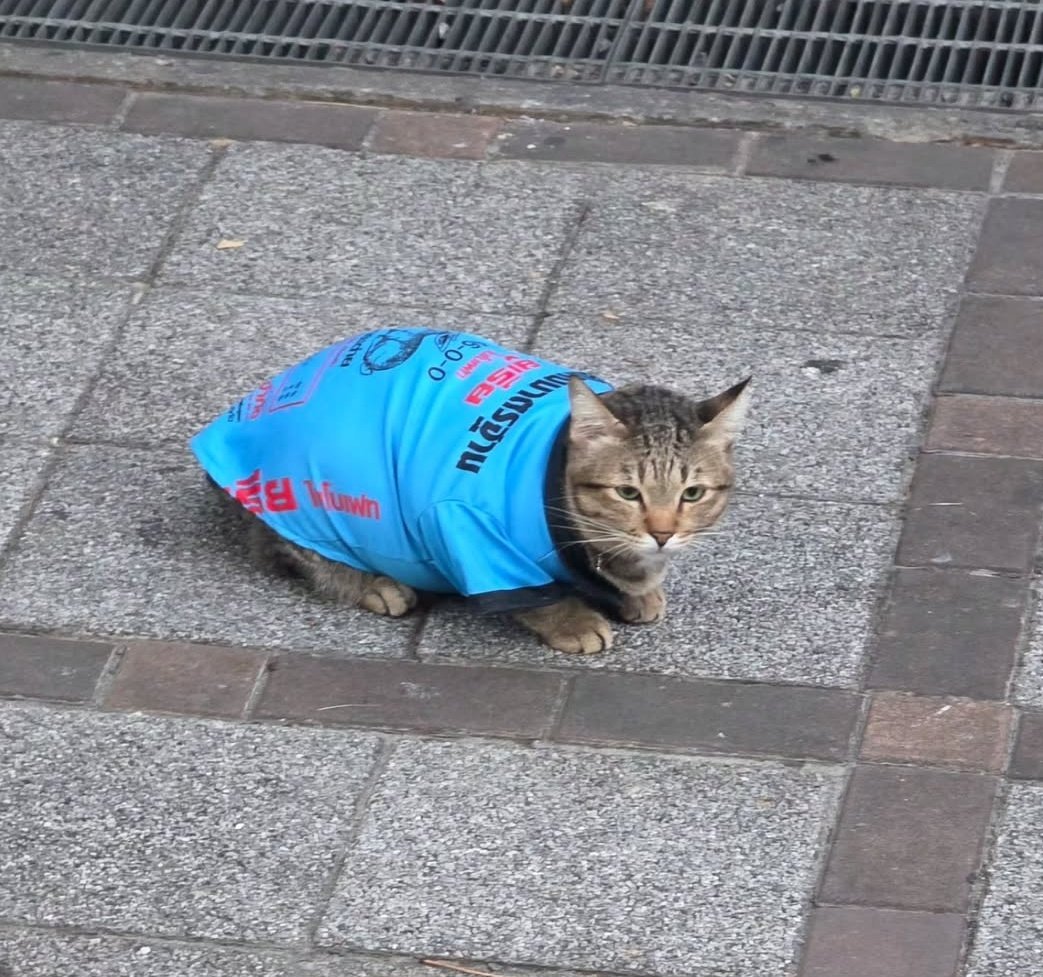 บ ย อ น บี ม '.ㅅ ' tweet media