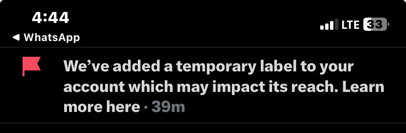 (cfc) Realfrank tweet media