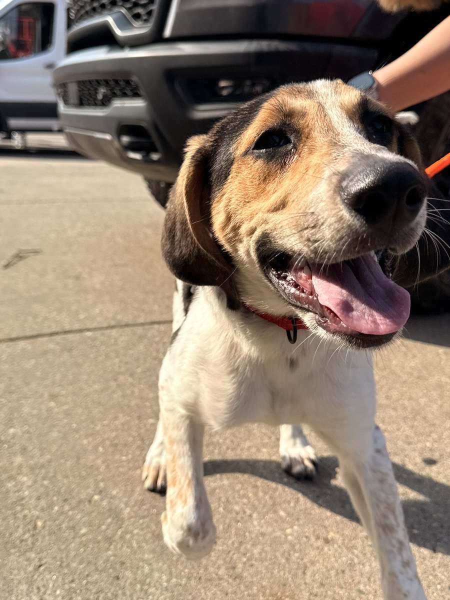 SPCA Cincinnati tweet media