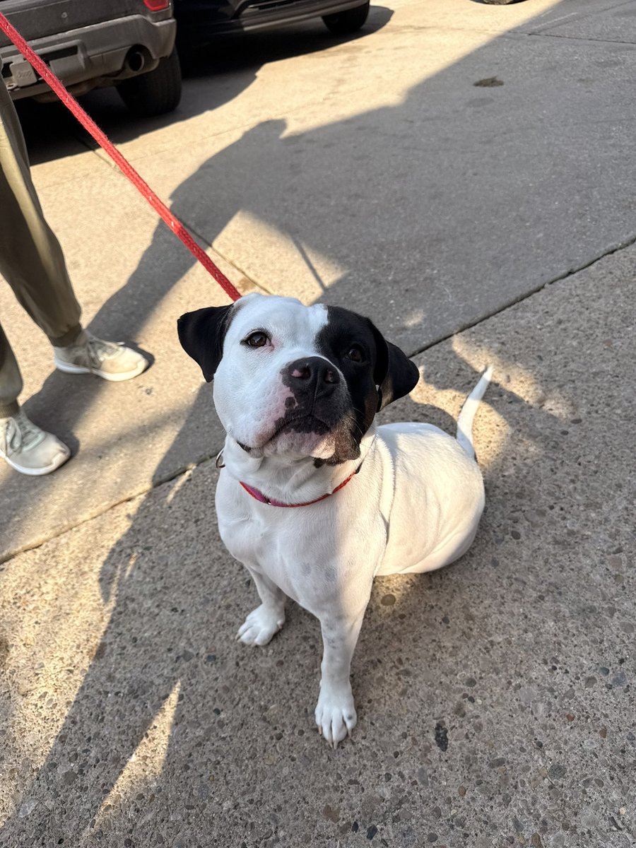 SPCA Cincinnati tweet media