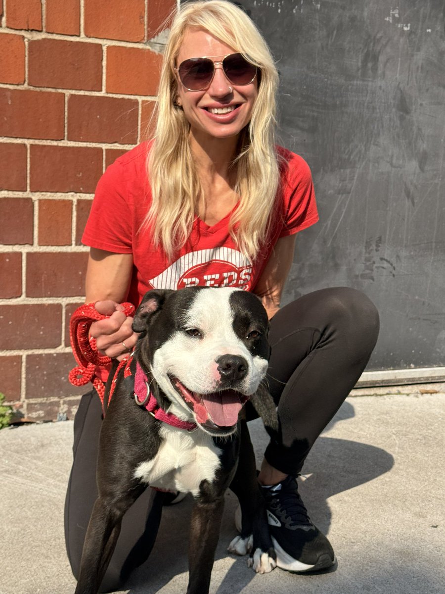 SPCA Cincinnati tweet media