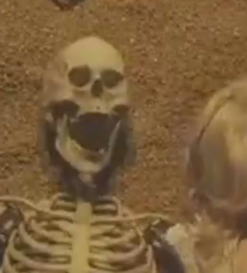 daniel, so confusing ✶ּ tweet media