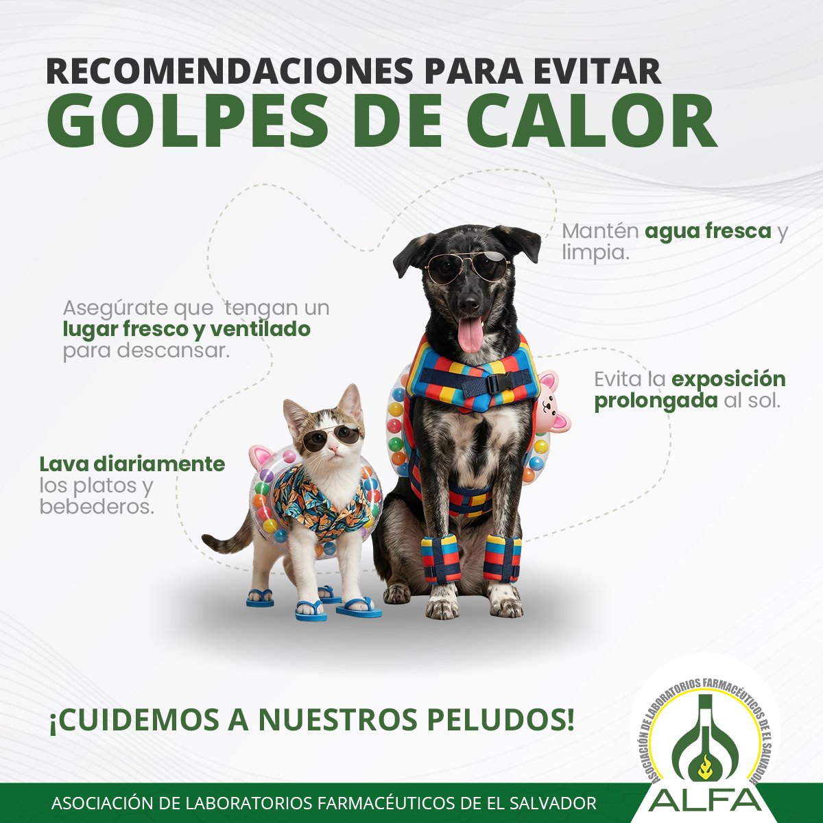 ALFAORGSV's tweet photo. En esta temporada de altas temperaturas, te compartimos recomendaciones para evitar golpes de calor en perros y gatos 🐈🐶

Evita los golpes de calor siguiendo estas recomendaciones básicas. 👇

¡Cuidémonos a nuestros Peluditos! 
#Vacaciones2026SV #ALFASV https://t.co/BRxr2xHdS2