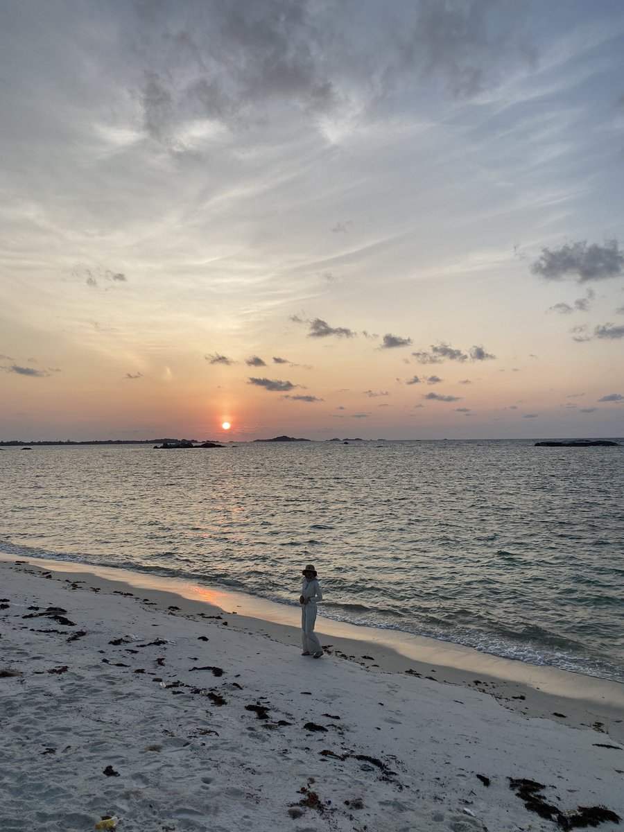 addictus ad te` tweet media