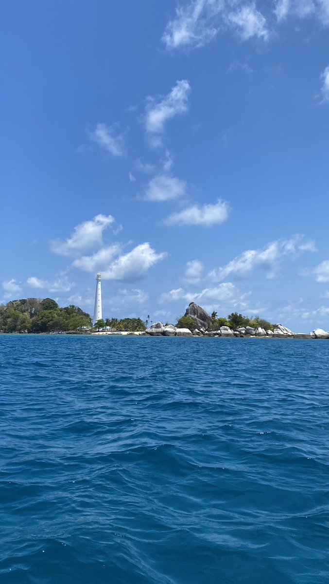 addictus ad te` tweet media