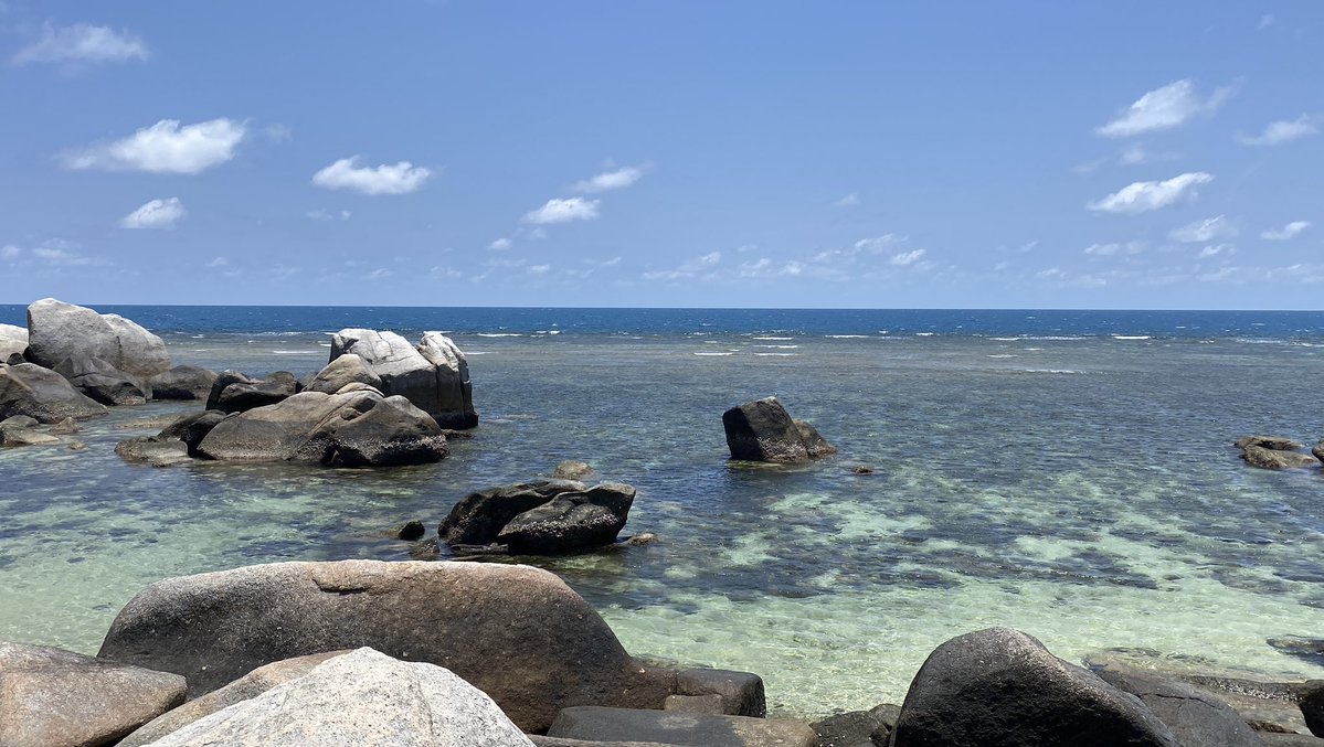 addictus ad te` tweet media