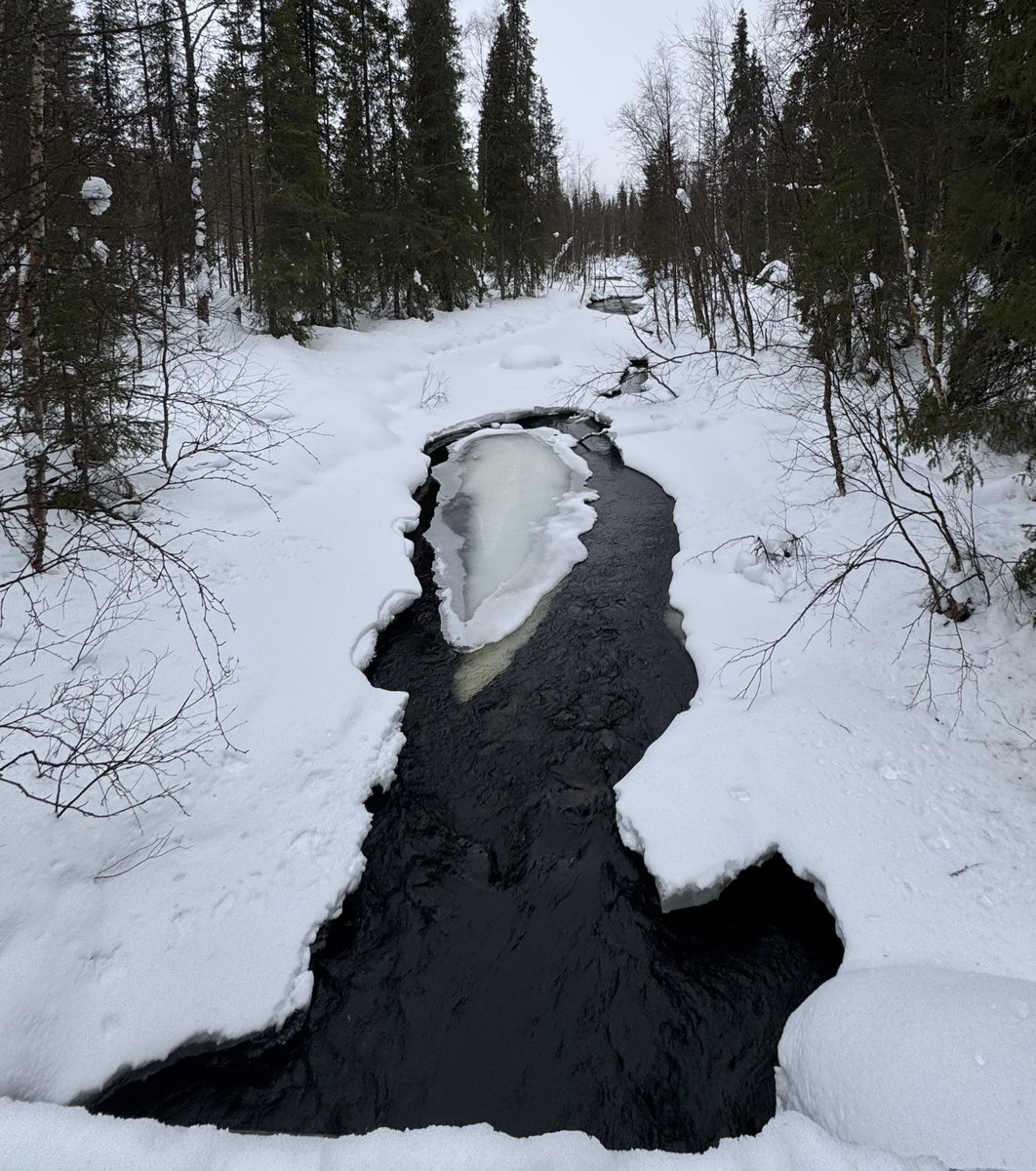 Riku Rantanen 🇺🇦 tweet media