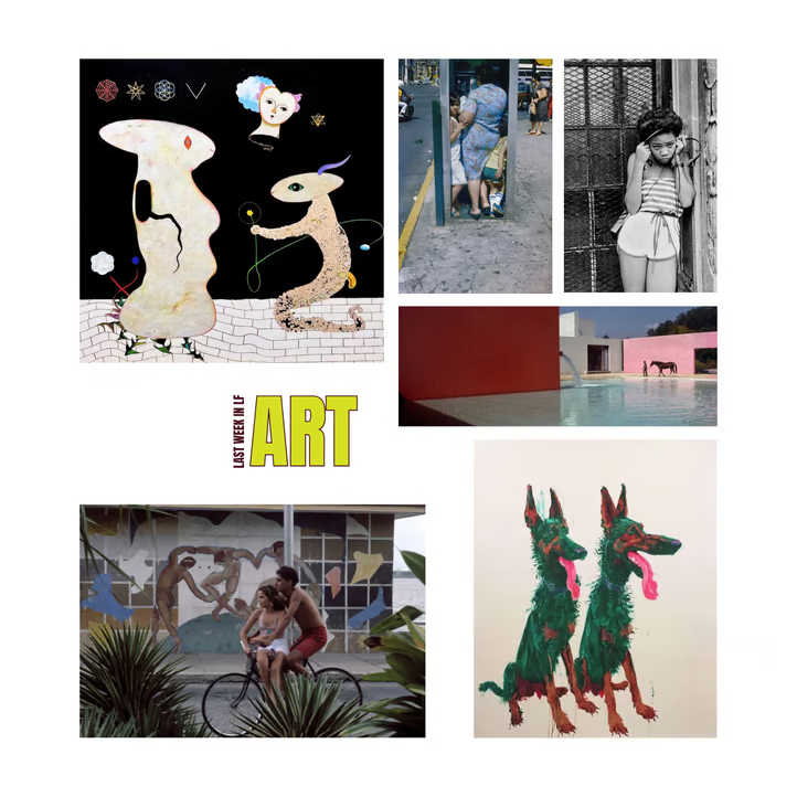 Los Fomos tweet media