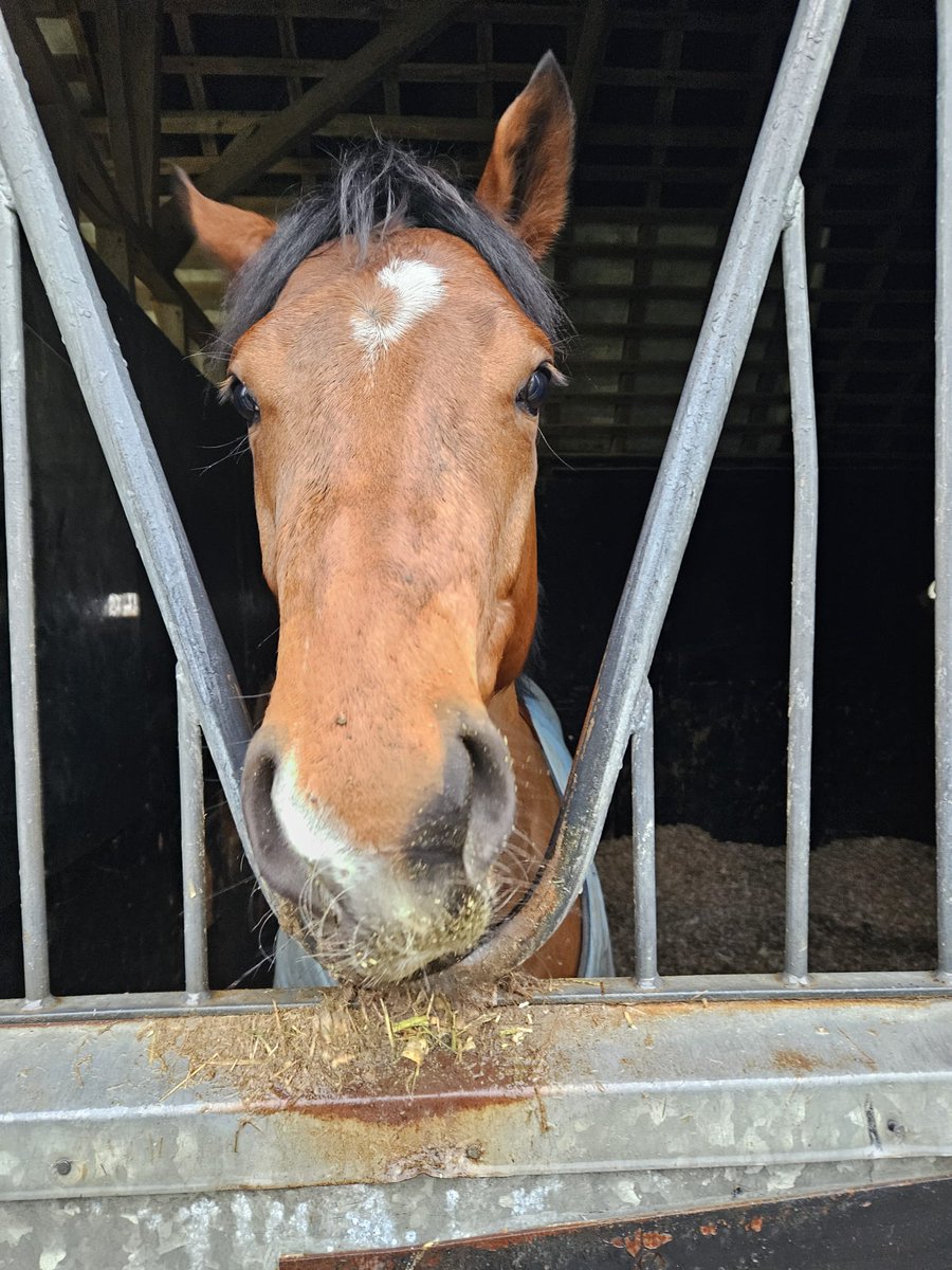 Josh Wright tweet media