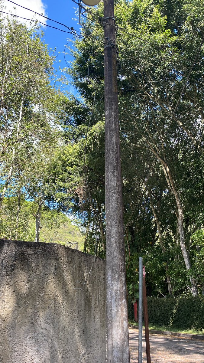 Mayte P. tweet media