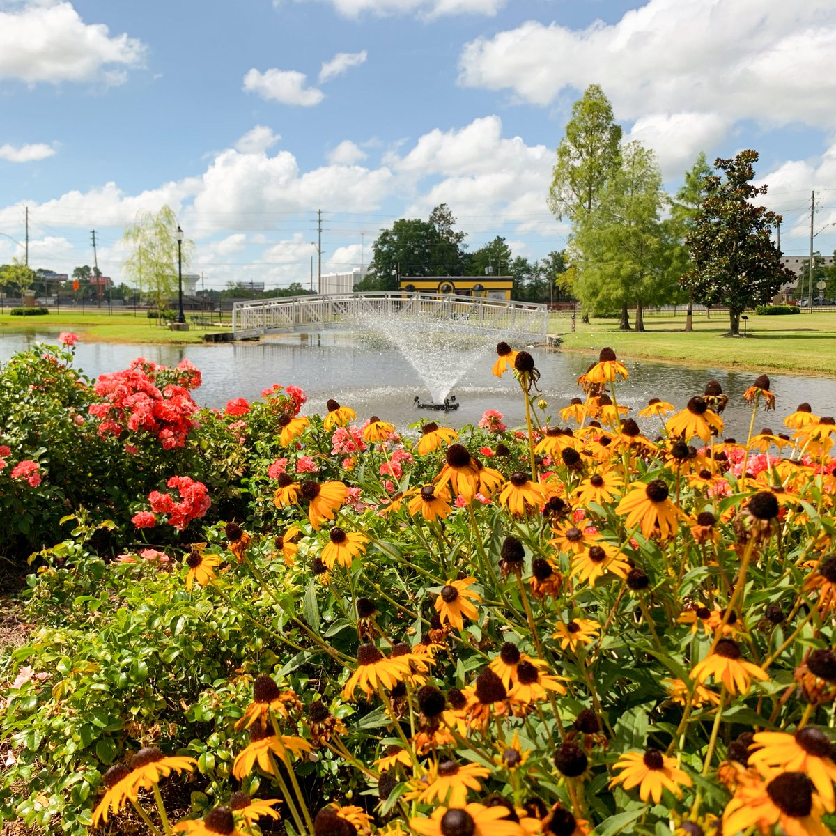 Southern Miss tweet media