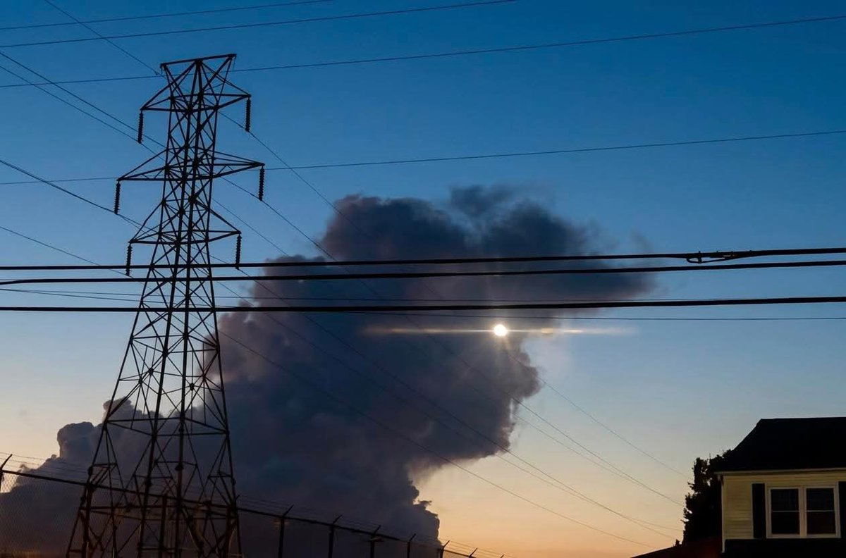 𝐎𝐥𝐚 𝐀𝐦𝐞𝐫 ( عُلا عامر ) tweet media