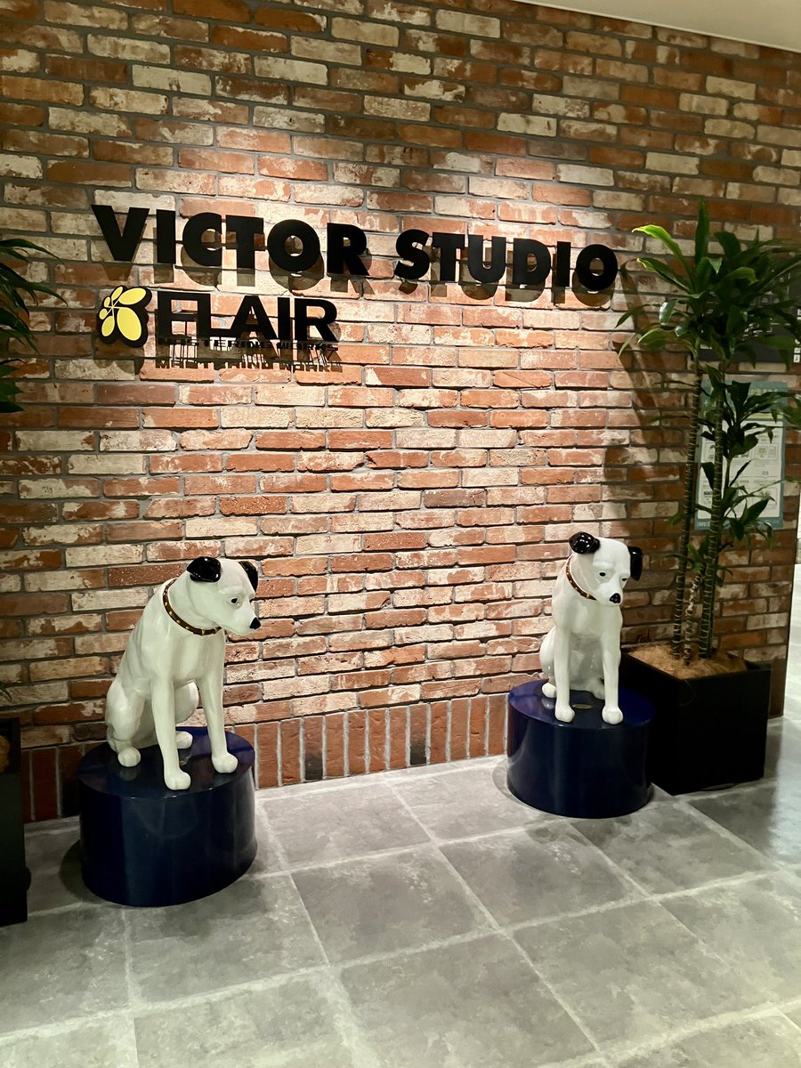 久しぶりのVictor studio❤︎ニッパーくん、前は確か1匹だったと思う(?)シーサーみたい🥰
